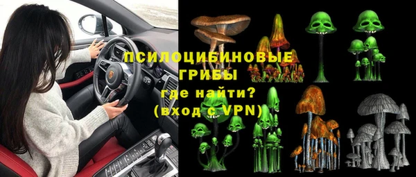 ГАЛЛЮЦИНОГЕННЫЕ ГРИБЫ Алексеевка