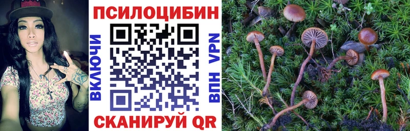 где продают   мега ссылка  Галлюциногенные грибы прущие грибы  Черноголовка 