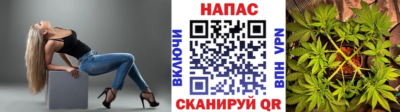 наркотики  Черноголовка  Марихуана планчик 